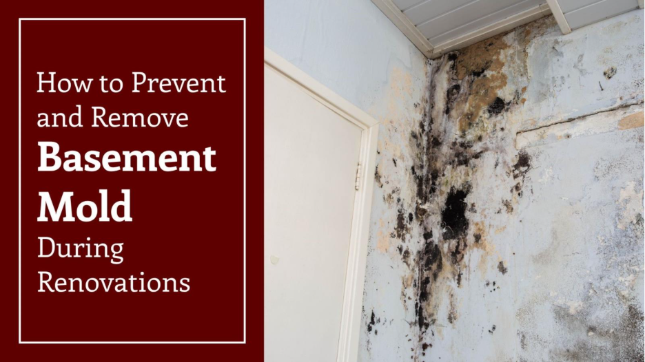 A white wall with black mold and text, "How to prevent and remove basement mold during renovations." 